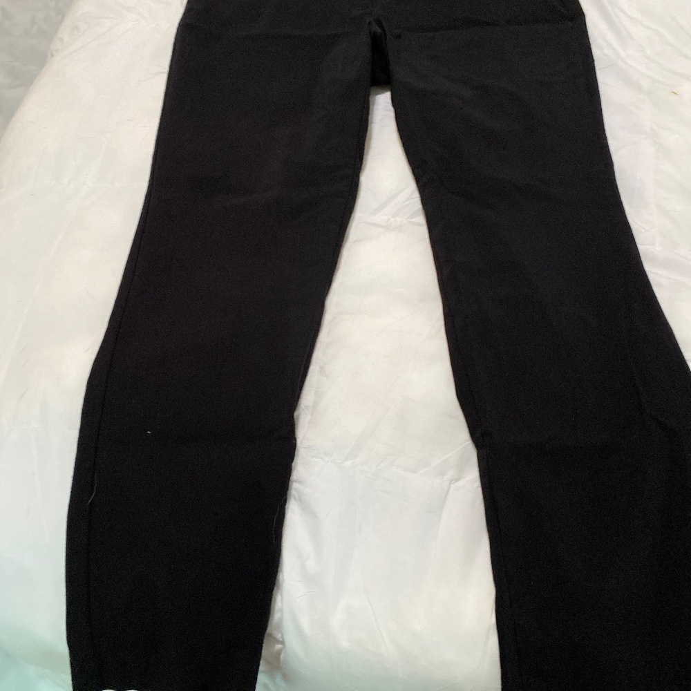 Lane Bryant Dress Pants